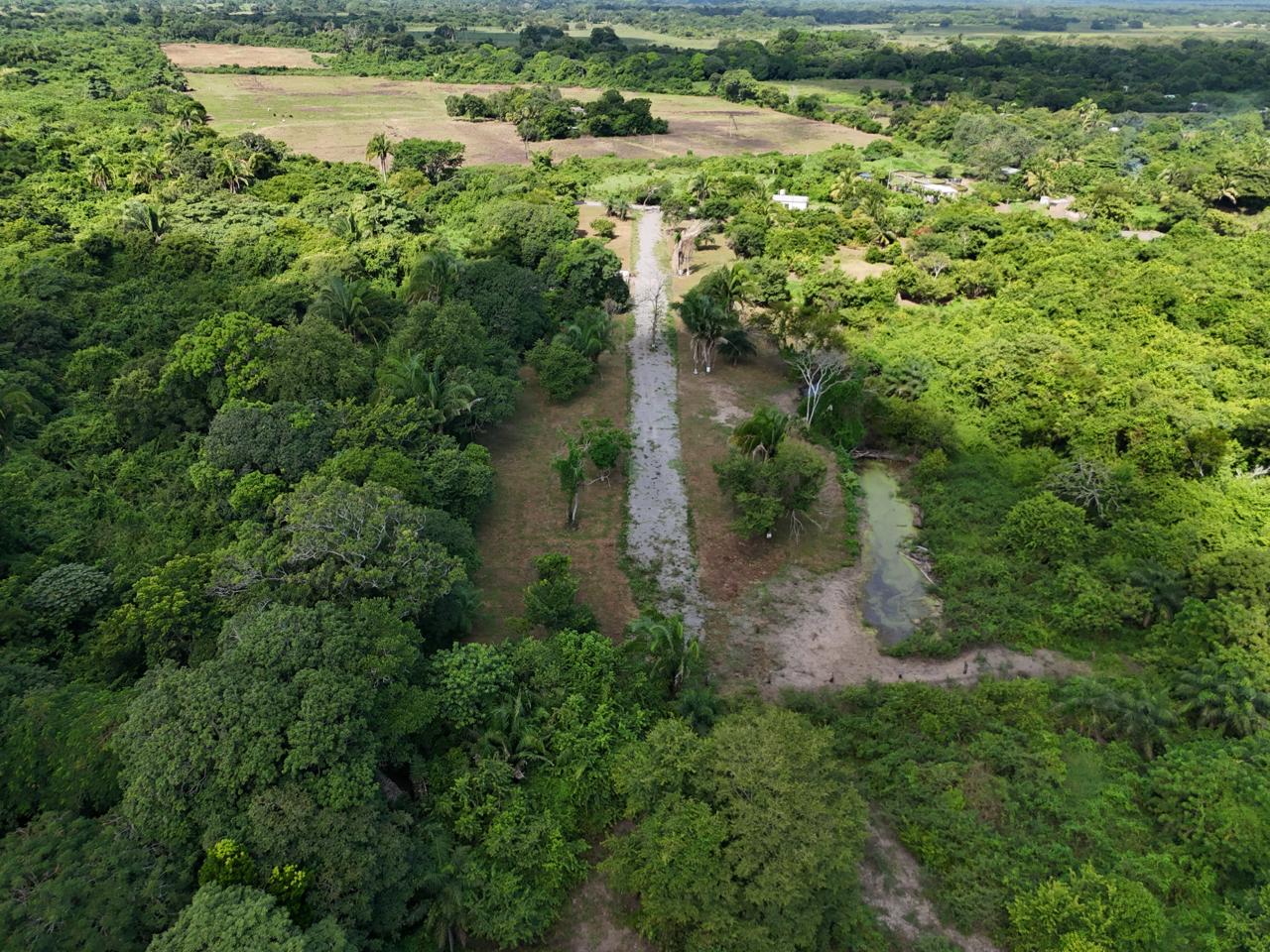 Terreno 3